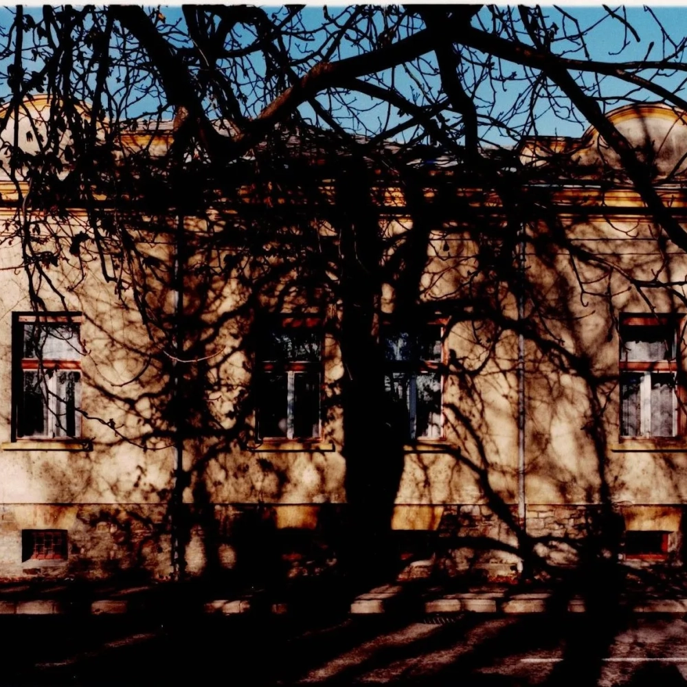 Petőfi 1.webp